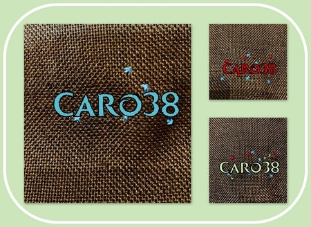 caro38_salnoel22_col1