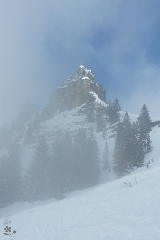 Montagne & brouillard