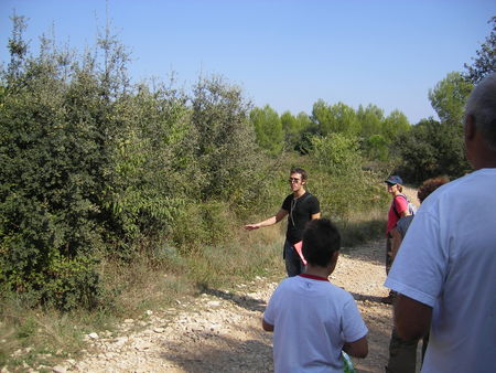 sortie_garrigues_basses_26_sept_2009_027