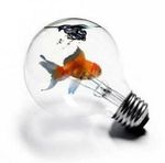 idea