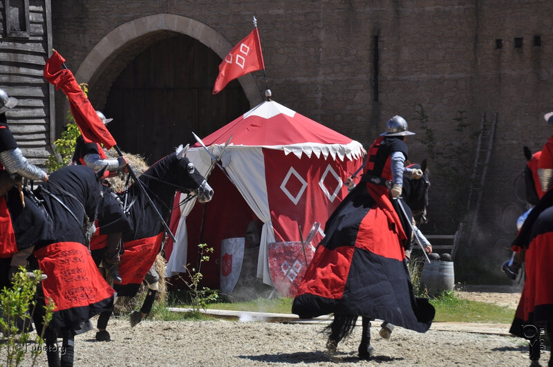 Puy du Fou 2011 - 8885