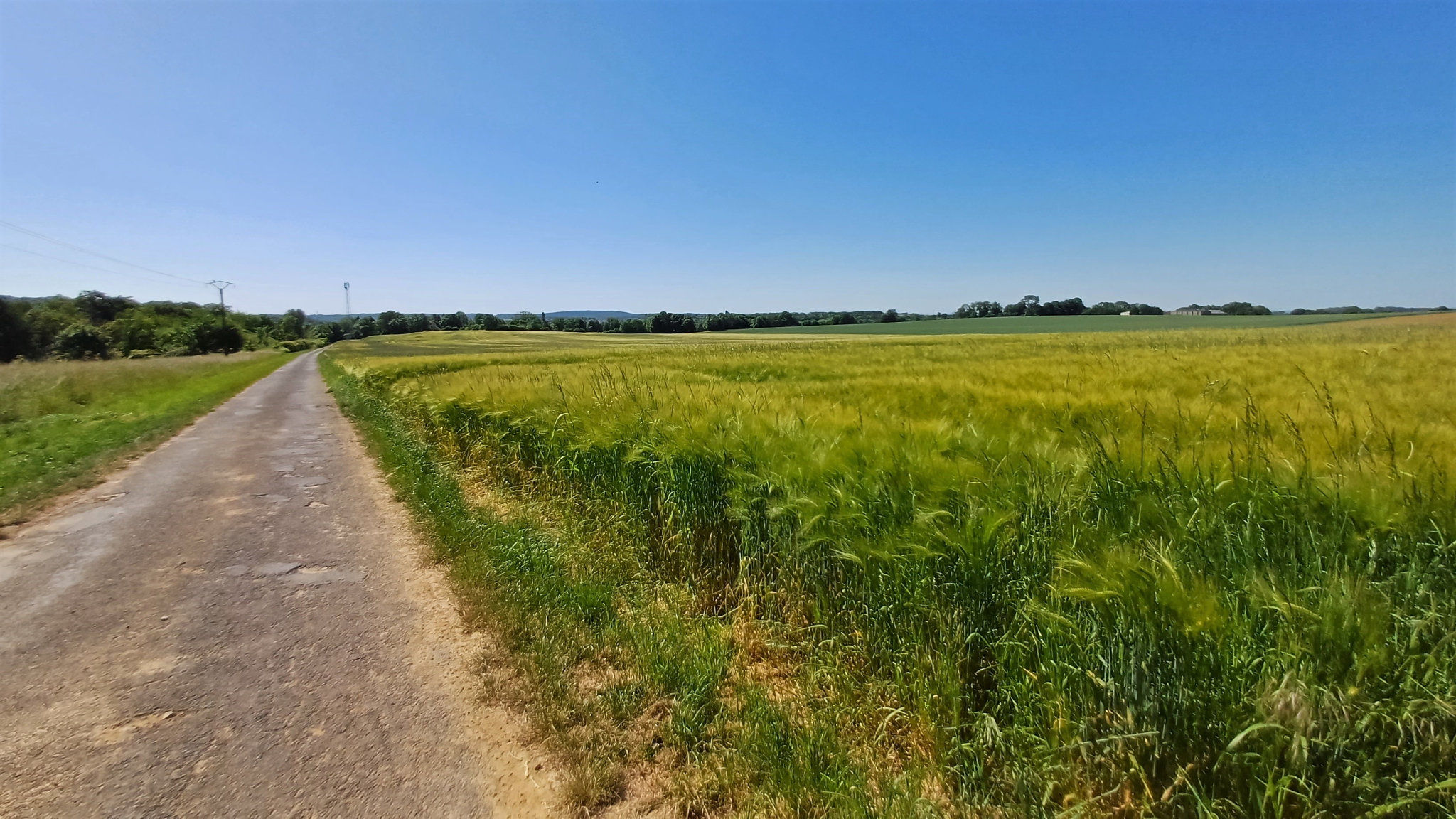 20230601_112417 - Copie