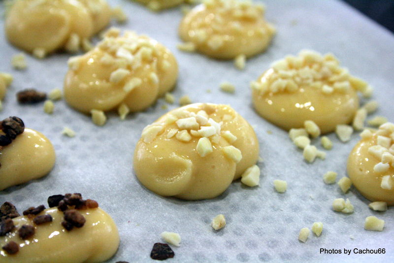 Les petits fours frais 09-05-09 (16)