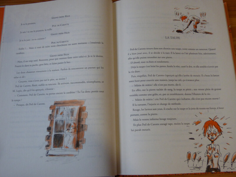 Poil de Carotte (1)