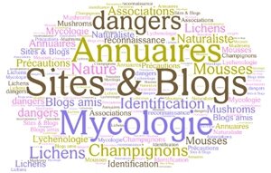 Nuage de tags mycologie