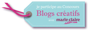 Je_participe_blog_cr_atif_de_MCIDEES