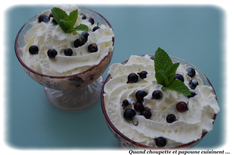 coupe glacée à la vanille et cassis du jardin-0018