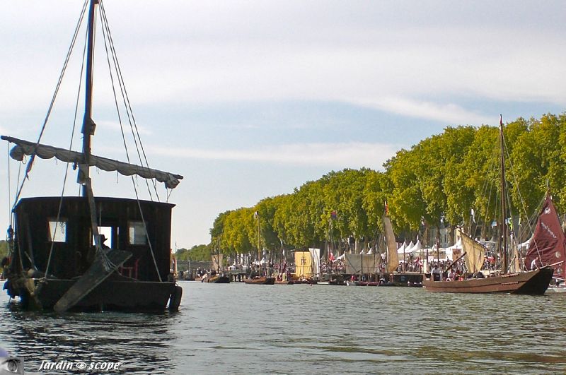 Festival de Loire 2011 (La loire en canoë)