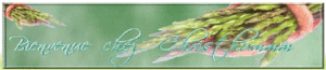 BIENVENUE_CHEZ_CRHISTUMMM