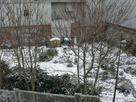 jardin_neige_092