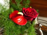 les fleurs chez moi (28)