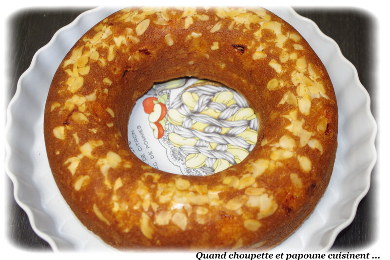 gâteau yaourt à l'abricot-3661