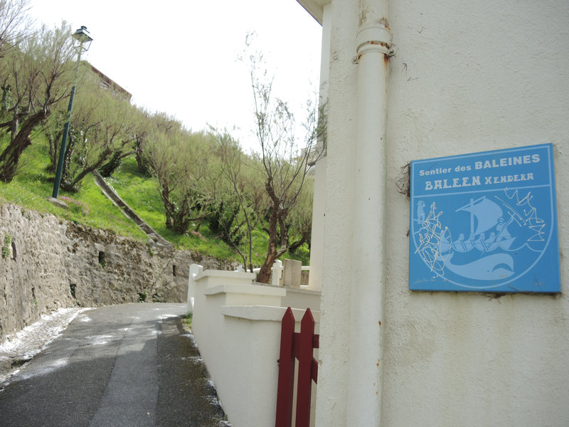 Guéthary, sentier des baleines (64)