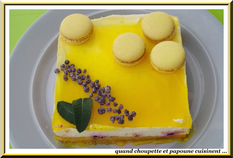 Gâteau à la mousse de citron et aux myrtilles-5170