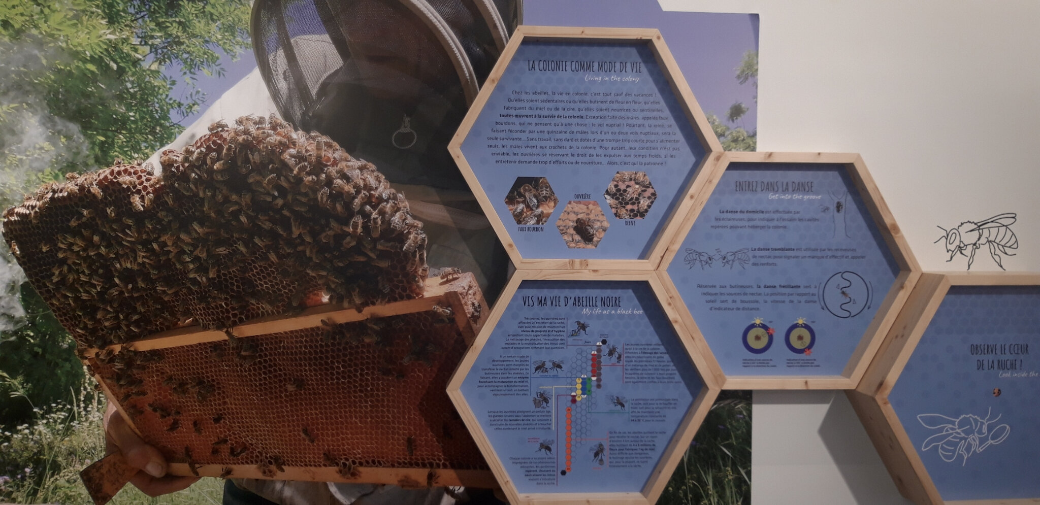 02c La maison de l'abeille 4/5