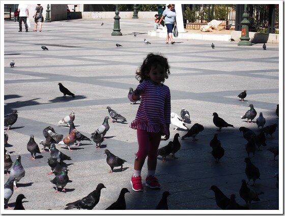 enfant aux pigeons