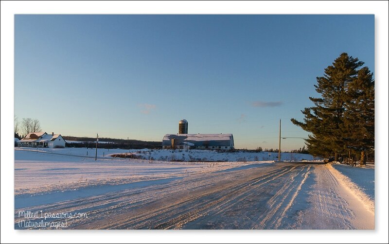 IMG_2652-1