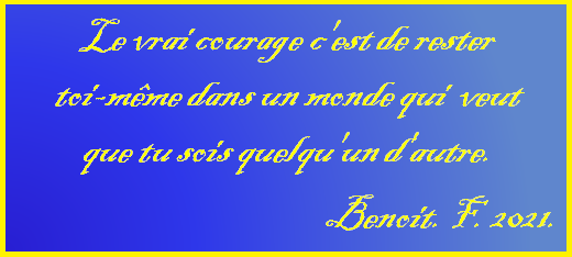 Citation 13