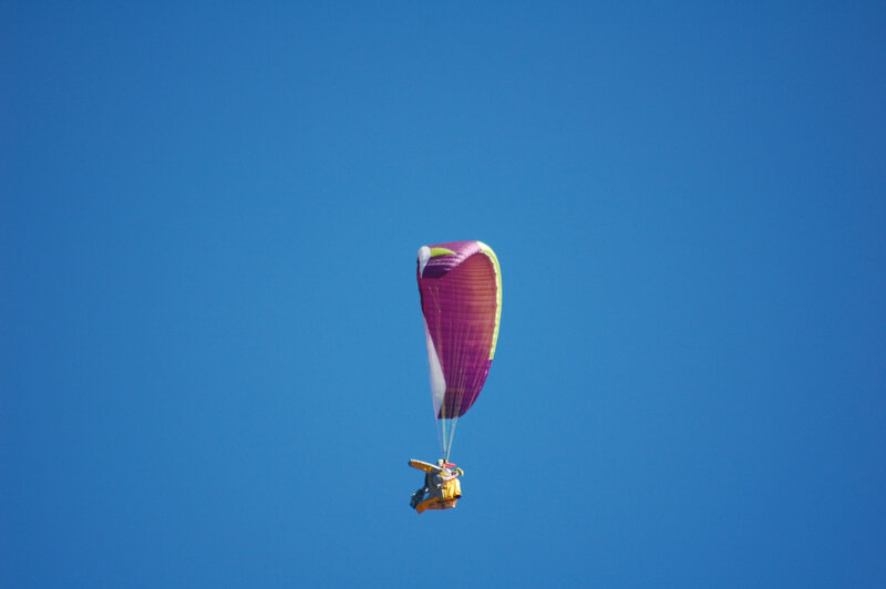 zoom (224)