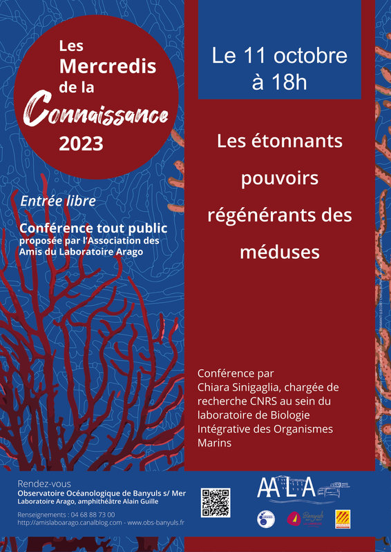 Affiche-Sinigaglia_111023
