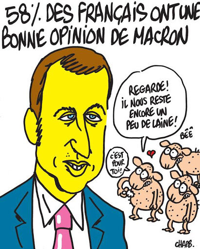 macron moutons