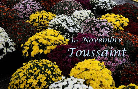 2018 1101 Toussaint - Chrysanthèmes