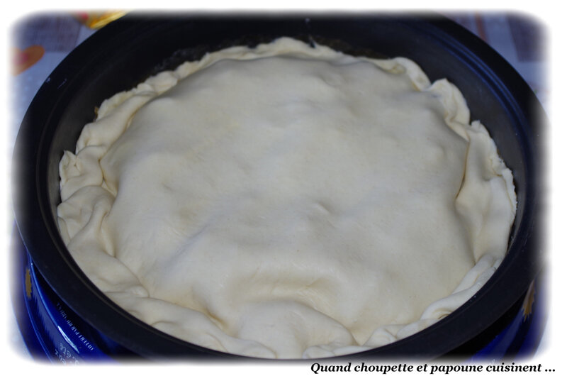 tarte tatin aux mirabelles-6078