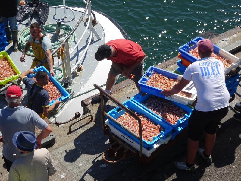 retour pêche le guilvinec juillet 2020