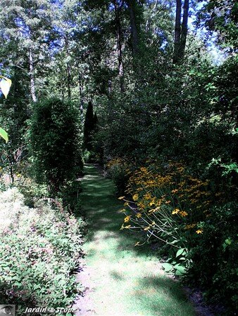 7427_Jardin_d_Eden