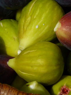 FIGUES_3