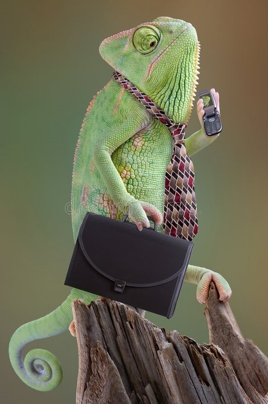 chameleon-businessman-5043326