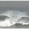 LES VAGUES DU CAP ...