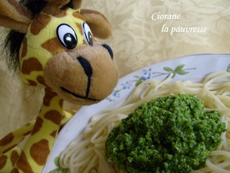 pistou_de_roquette_1