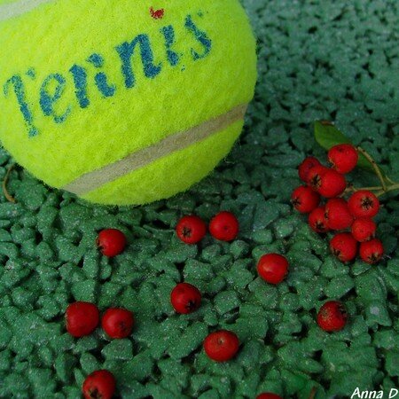tenniscarr_