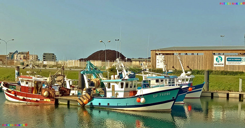 TREPORT PORT BATEAU 076A copie