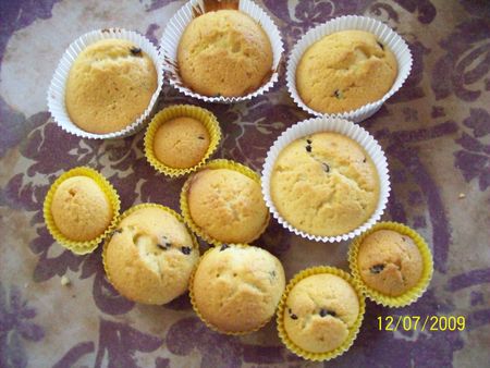 muffins_et_pannacotta_001