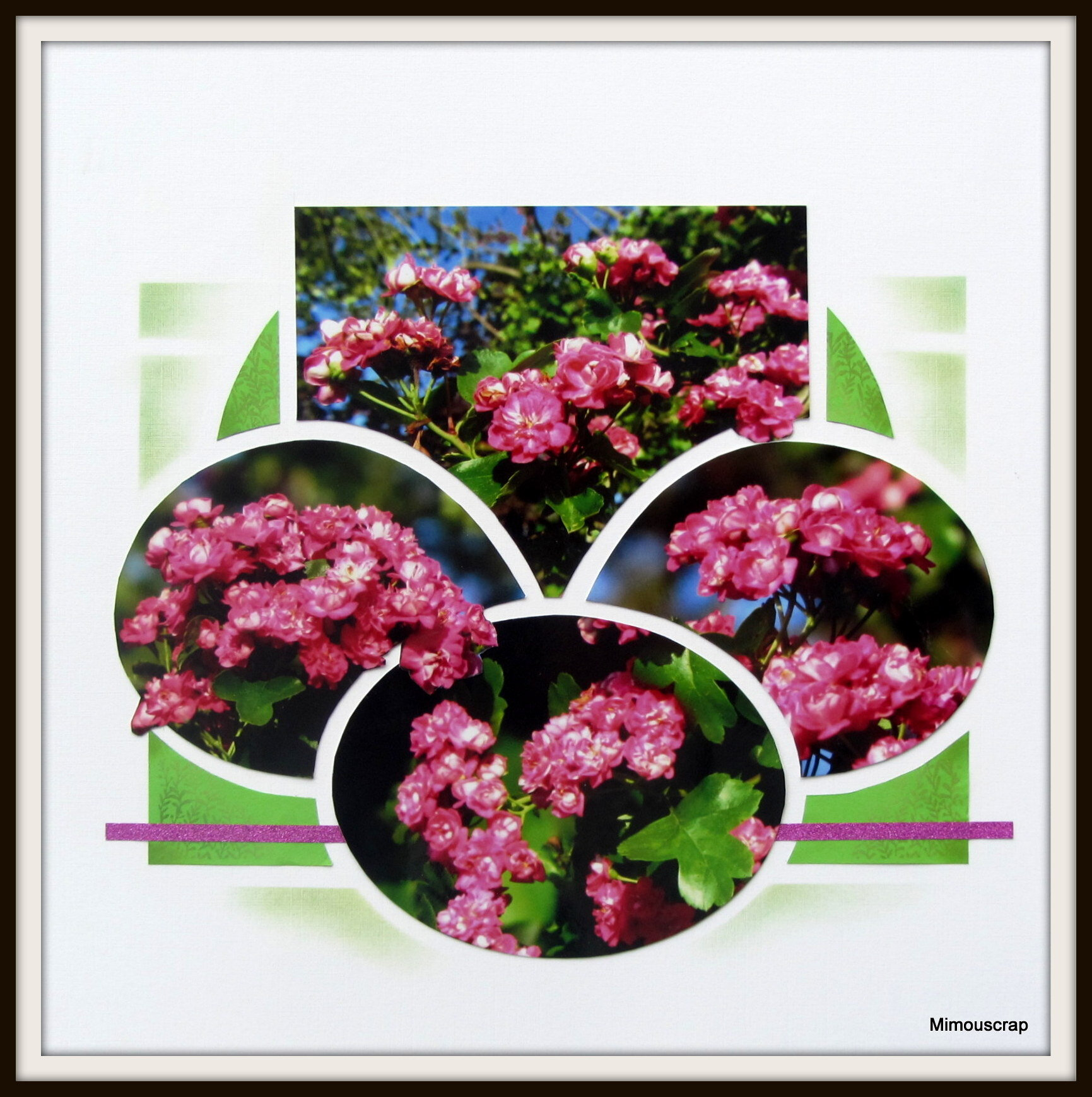 Jardin 2016 041
