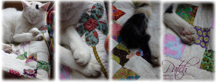 patch