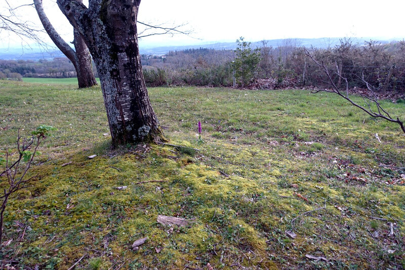 DSC02685