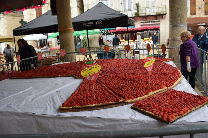 9 juin fête de la fraise vergt (16)