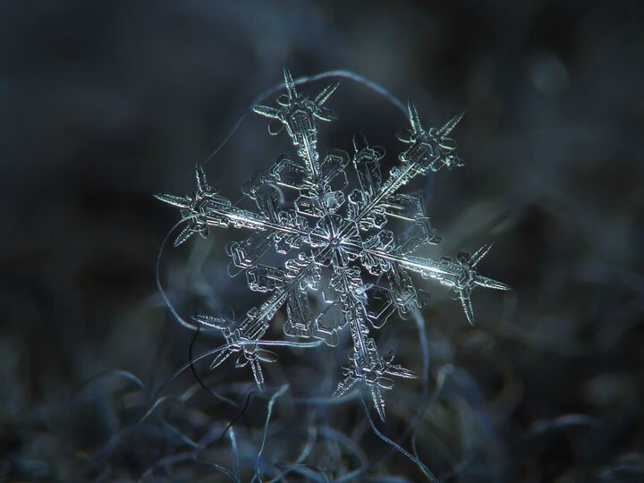 alexey-sublime-les-details-des-flocons-de-neige-a-travers-de-magnifiques-photographie-macro68
