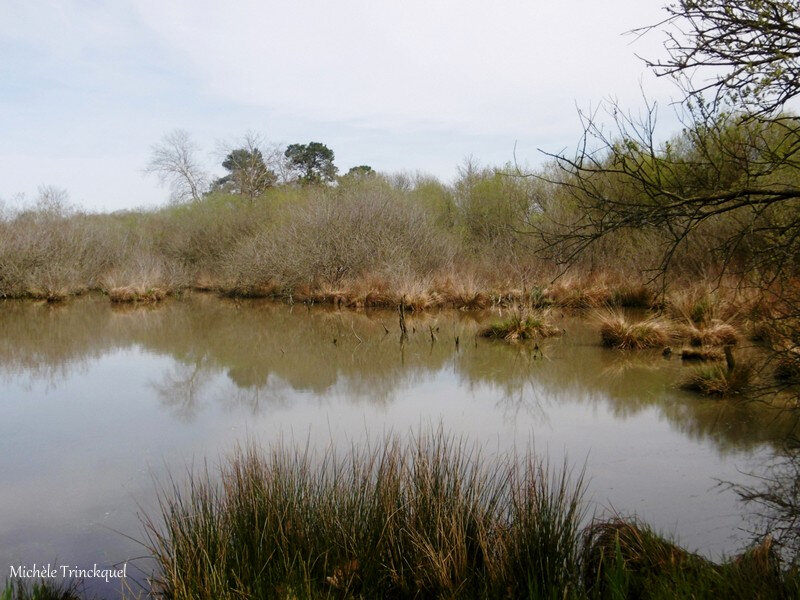 Lac de Tastoa 010418