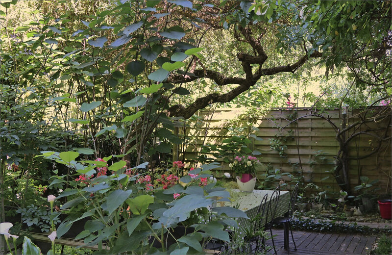 Jardin tonnelle MG 1 080620