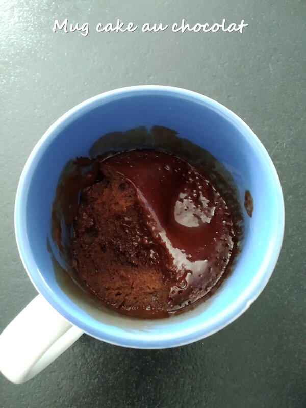 Mug cake au chocolat2