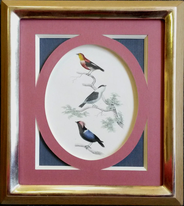 atelier des 4 coins - ellispe et écoinçons sur gravure aquarellée