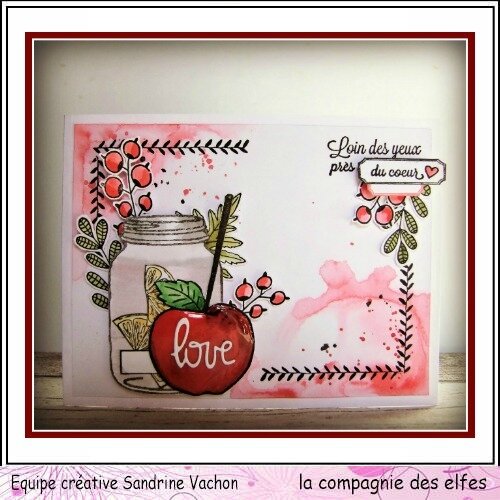 Sandrine VACHON fév dt LCDE (1)
