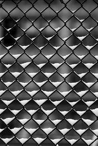 149392912610861619_e6op6nVi_c