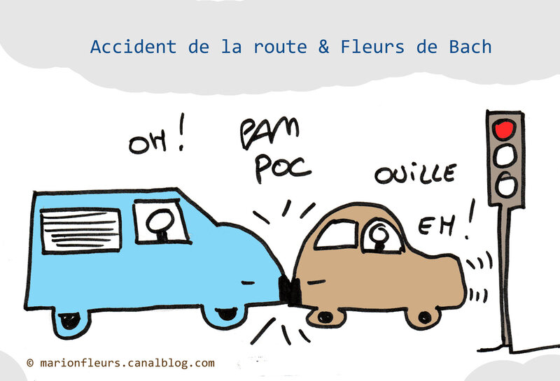 accident_route_fleurs_de_bach_marionfleurs