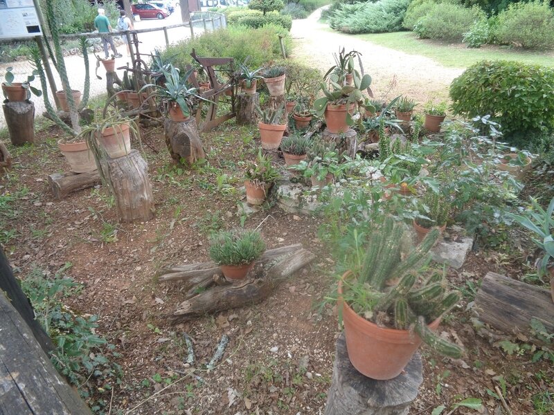 DSC01524