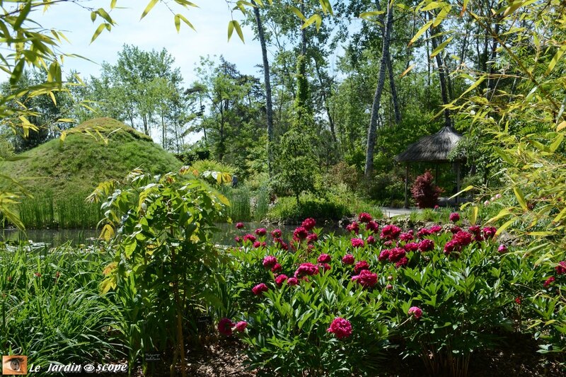 PAT_0161-Jardin-Chinois